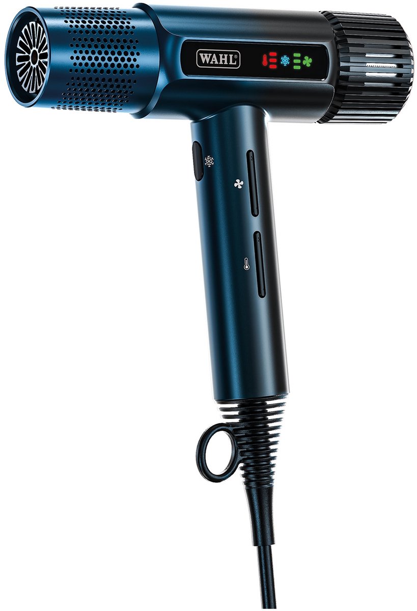 Wahl Vanquish Professional Hair Dryer