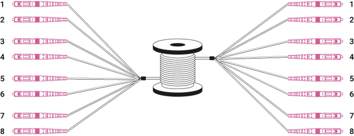 DIGITUS breakout cable - 50 m - black - Sort - 50m