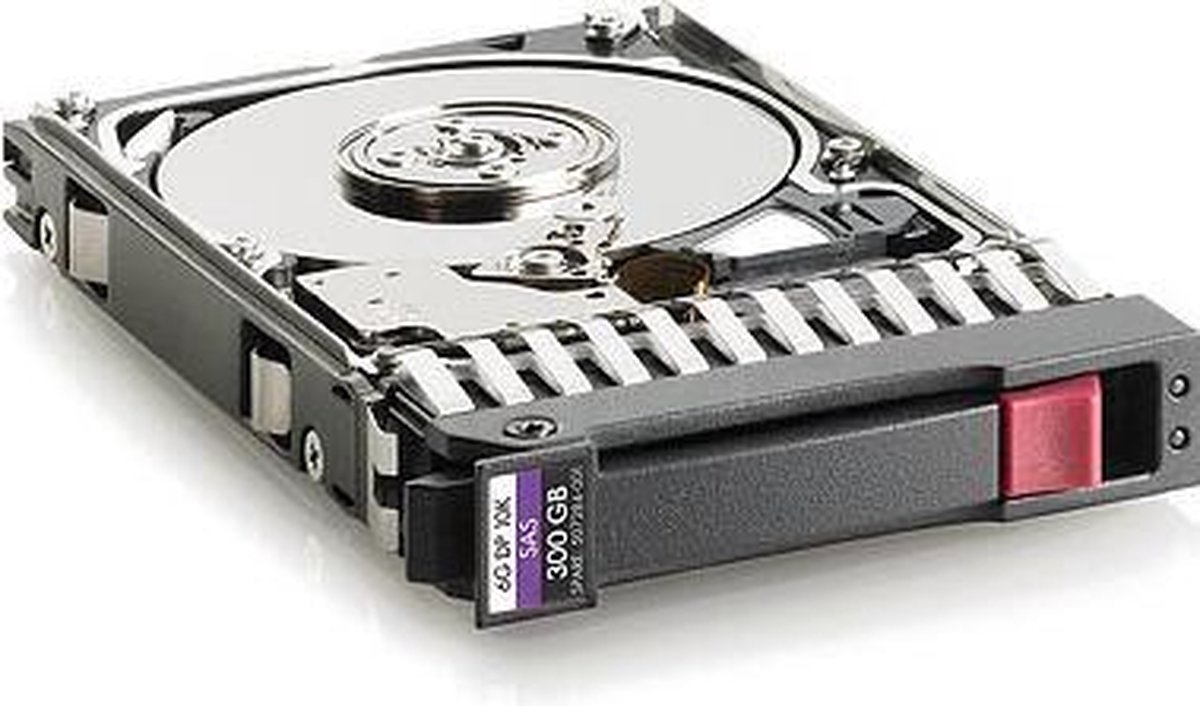 Hpe Dual Port Enterprise 2.5" 10000r/min