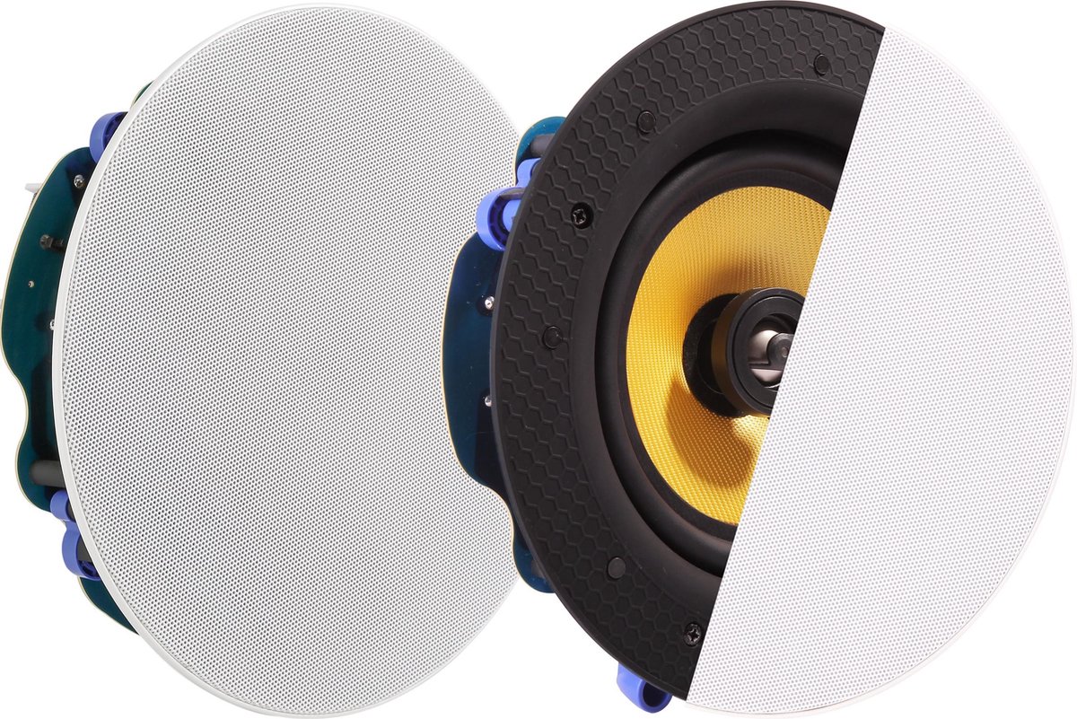 Vision CS-1900 - speaker