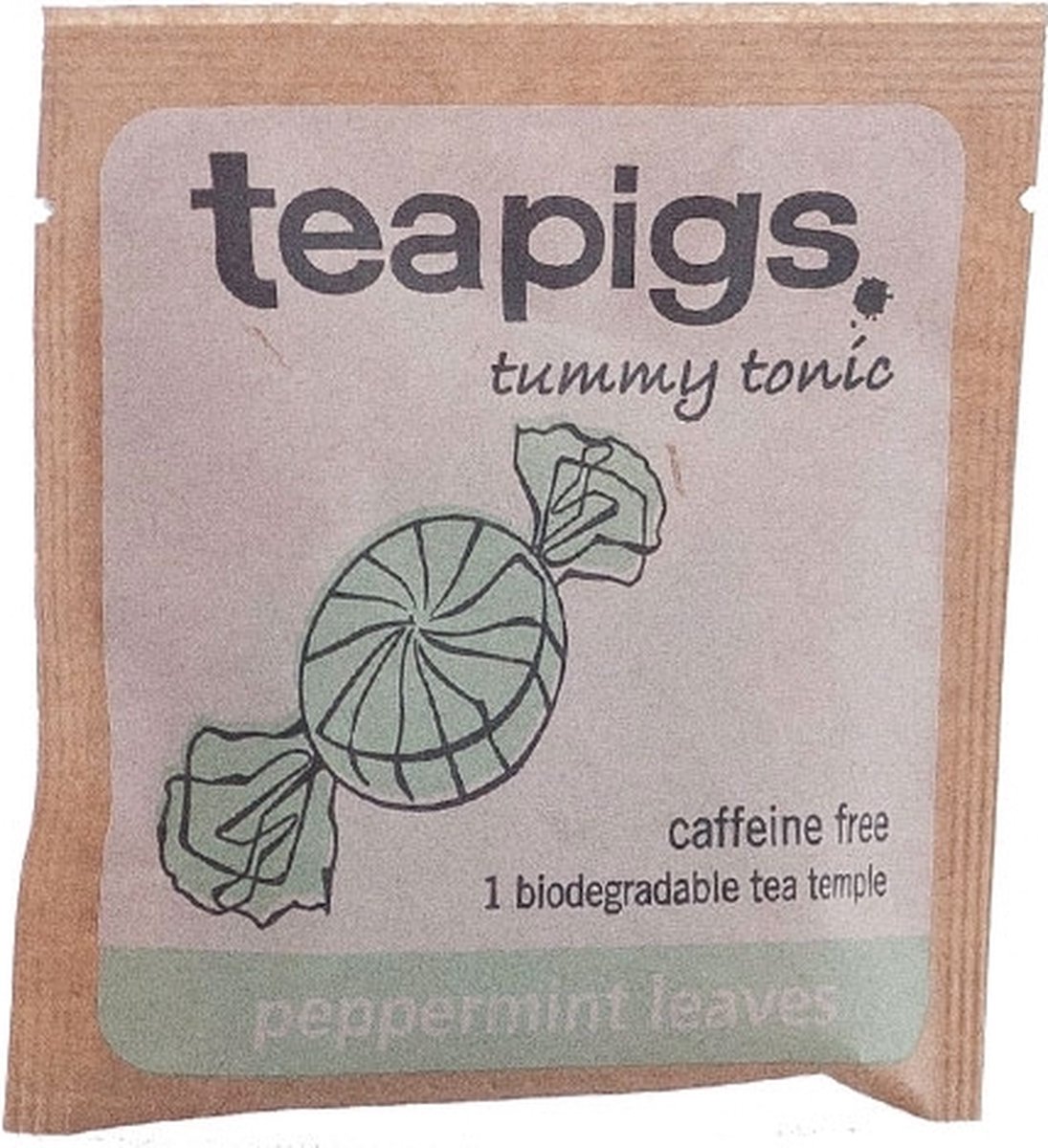 Teapigs Peppermint Leaves Envelope (Pack of 50) FOTEA006