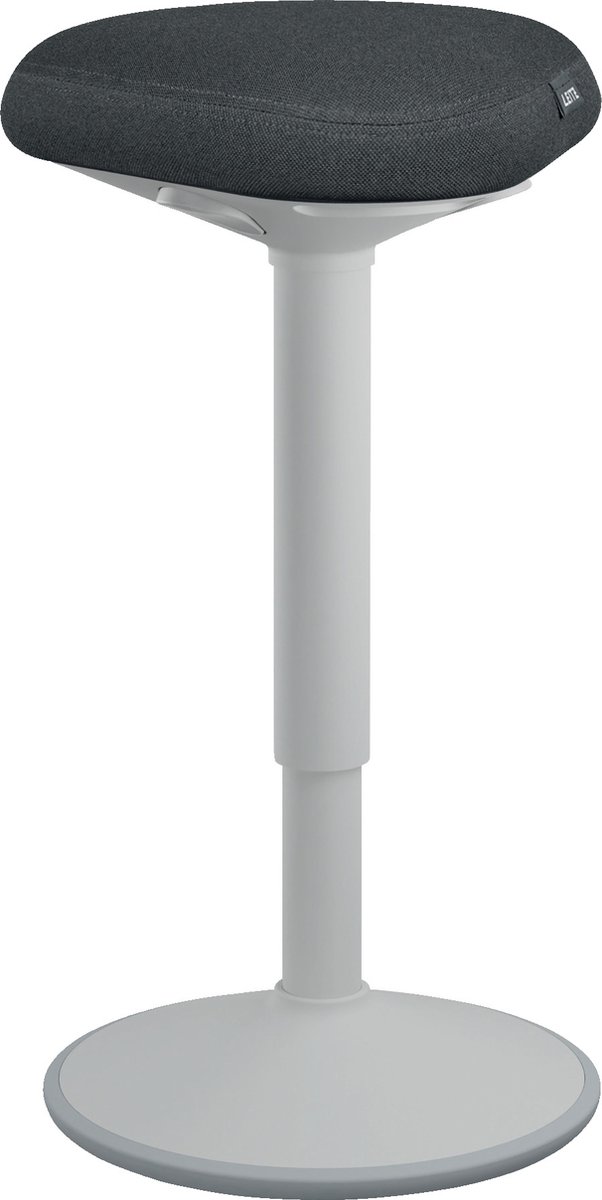 Leitz Ergo Active Stehhhocker 6545 Mit verstellbarem Komfortsitz 57 - 82 cm Bis zu 110 kg Hellgrau