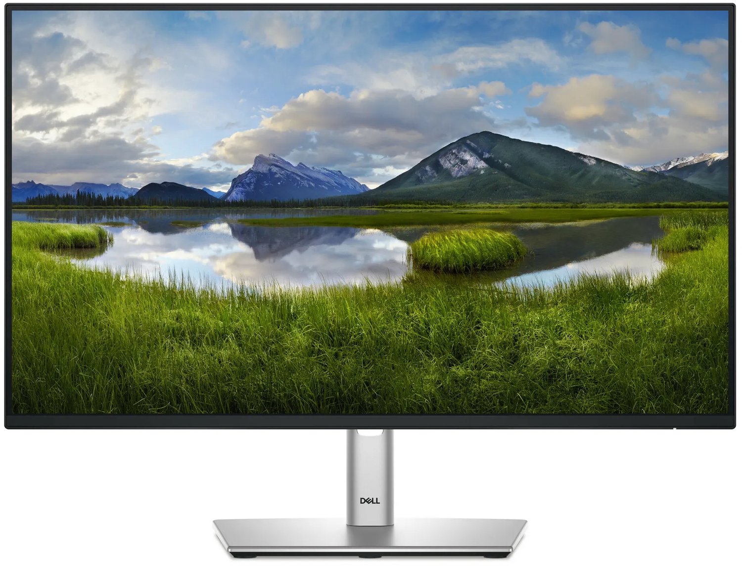 Dell P Series 61 cm (24 ) LCD Monitor P2425HE