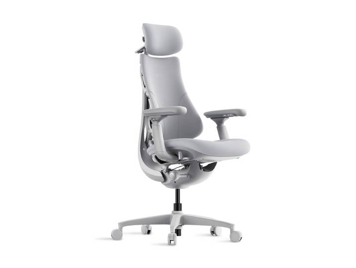 LiberNovo Omni Chaise ergonomique dynamique Gris sidéral 48 cm 1 pièce