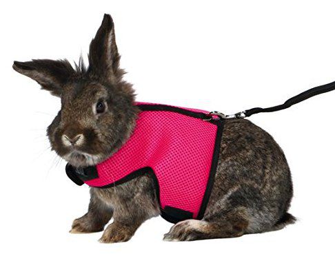Trixie Weicher Gurt, Big Rabbits 25-40X120 Cm