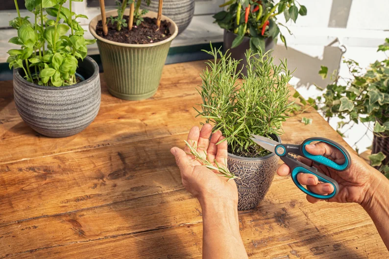 Gardena HerbCut cissor