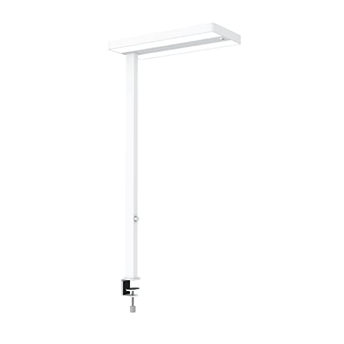 Maul LED-Klemmleuchte MAULjuvis sensor, dimmbar – Innovative Arbeitsplatzleuchte mit Klemmfuß fürs Büro – Energiesparende und komfortable Lampe mit Tischklemme mit 4000K Farbtemperatur – Weiß
