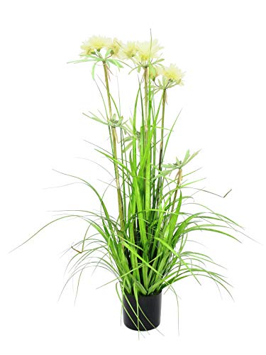 EUROPALMS Sterngras, künstlich, 120cm | Auffallendes Frühlingsgras