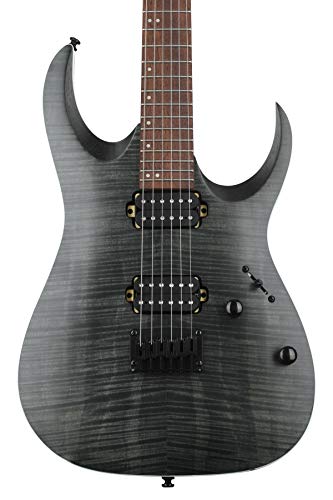 Ibanez Standard RGA42FM-TGF Transparent Gray Flat - Ibanez E-Gitarre