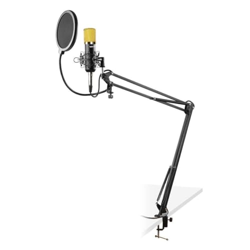 Vonyx Studiomikrofon-Set mit verstellbarem Arm und Popfilter Gold