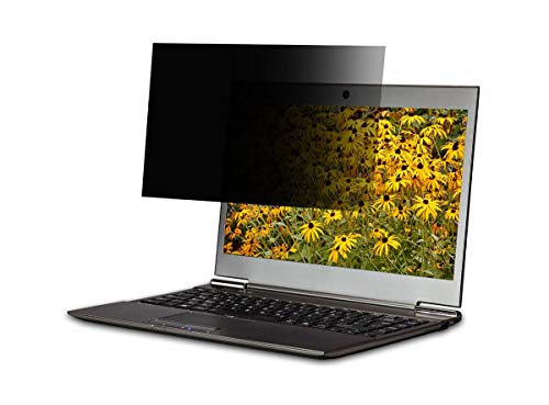 'Origin Storage osfdt2wpi24wl-169 24 Monitor' Frameless 'Tasche Display Privacy Filter Filter Premium für Display und Filter Privacy Displayschutzfolie reflektierend – Filter für und Filter-Vertraulichkeit (Monitor,' Frameless 'Tasche Display Pr