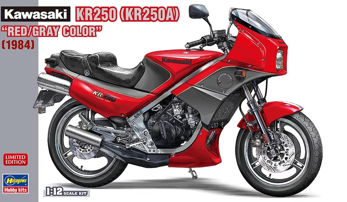 Kawasaki KR250, Rot/Grau