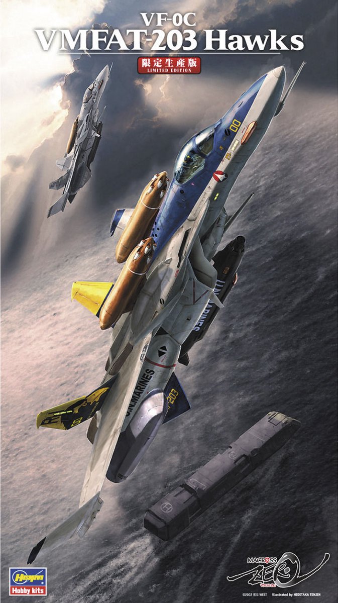 VF-0C VMFAT-203 Hawks