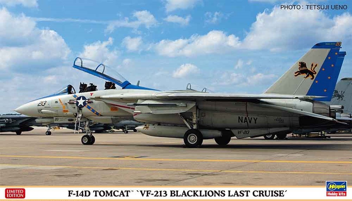 F-14D Tomcat, VF 213, Blacklions last cruise