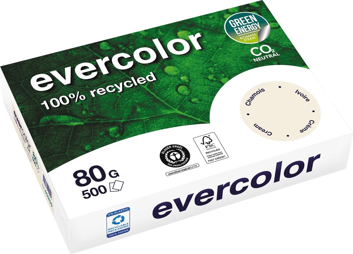 5 x Clairefontaine Kopierpapier Forever Evercolor DIN A4 elfenbein 80