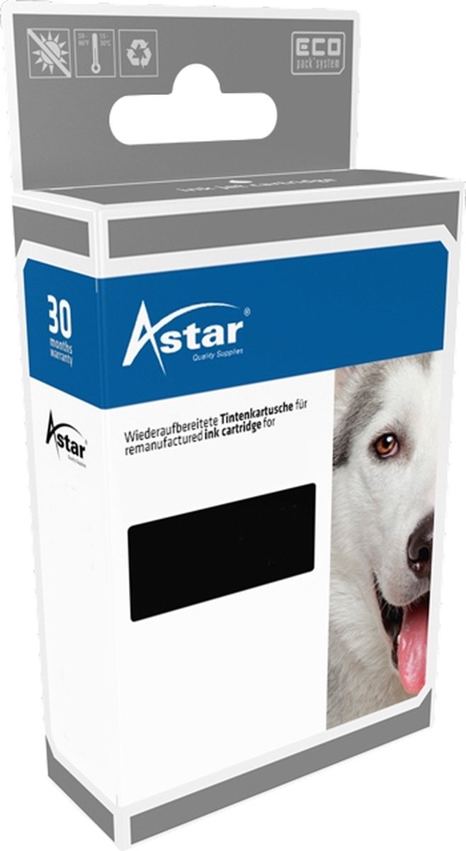 Astar Tintenpatrone Astar AS45530 schwarz/photoschwarz/cyan/magenta/ge