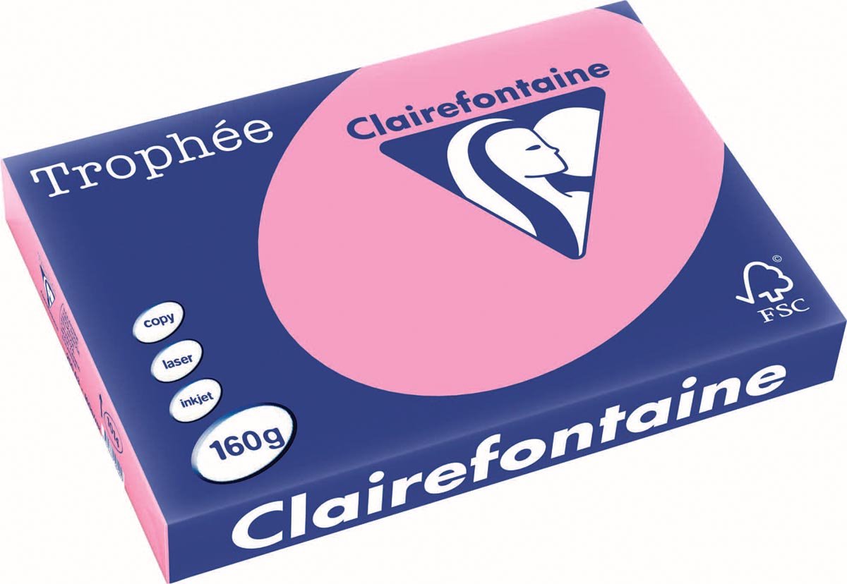 4 x Clairefontaine Kopierpapier Trophee A3 160g/qm VE=250 Blatt hecken