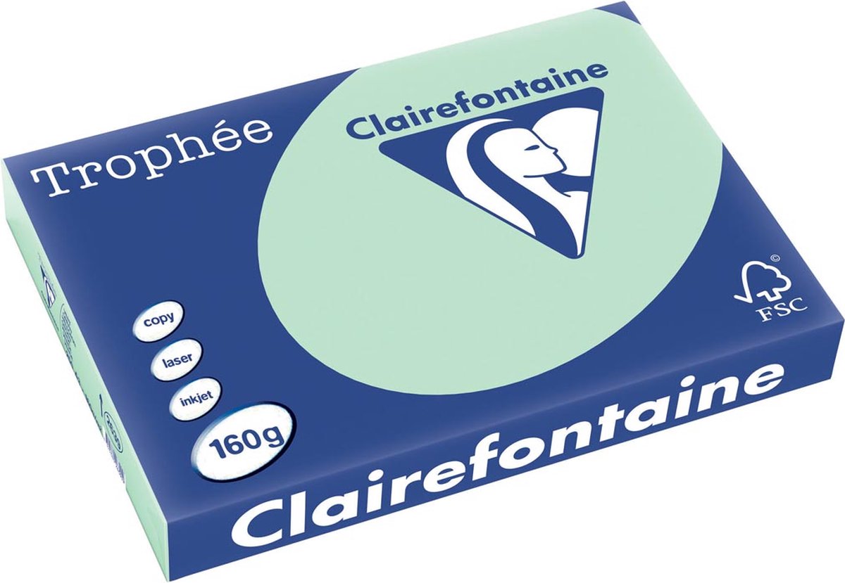 4 x Clairefontaine Kopierpapier Trophee A3 160g/qm VE=250 Blatt hellgr