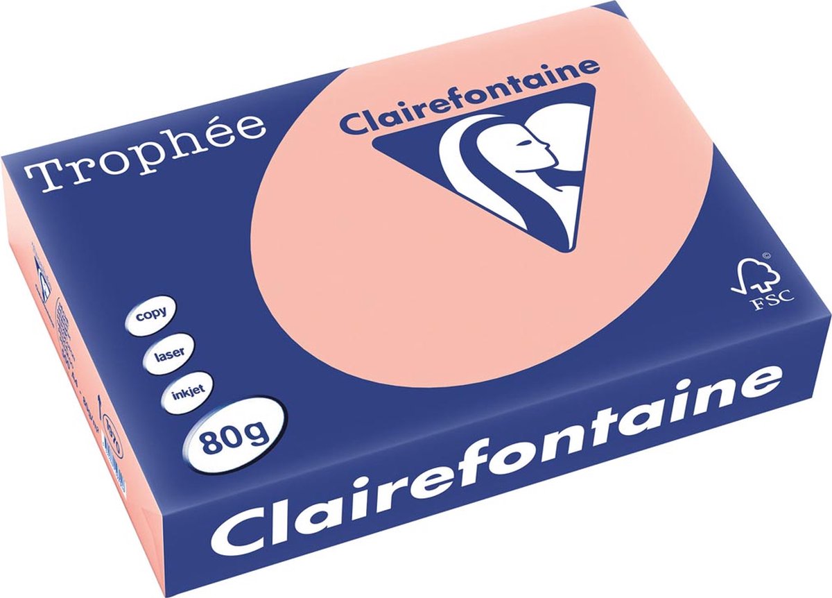 5 x Clairefontaine Kopierpapier 1970PC A4 80g pfirsich 500 Blatt