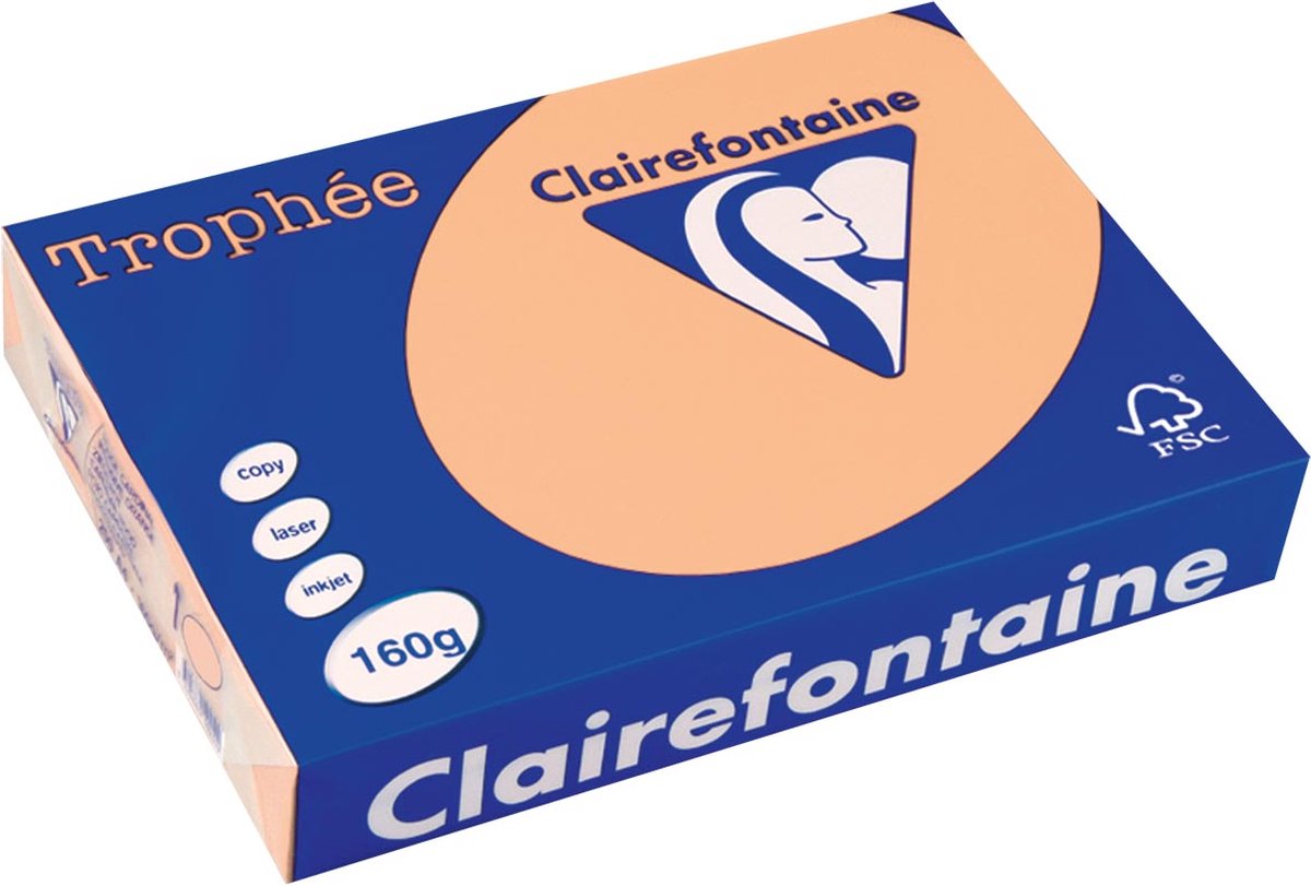 4 x Clairefontaine Kopierpapier Trophee A4 160g/qm VE=250 Blatt lachs