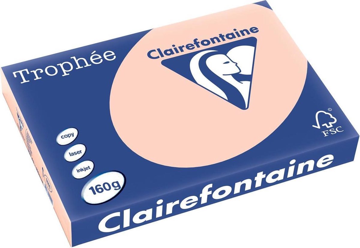 4 x Clairefontaine Kopierpapier Trophee A3 160g/qm VE=250 Blatt lachs