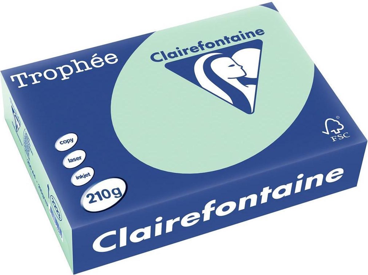 4 x Clairefontaine Kopierpapier Trophee A4 210g/qm VE=250 Blatt hellgr