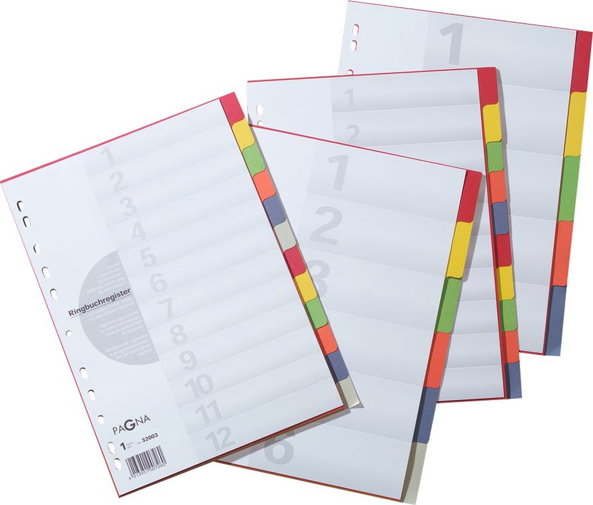 25 x Pagna Register A4 Karton 6-teilig blanko m. Deckblatt 6-farbig