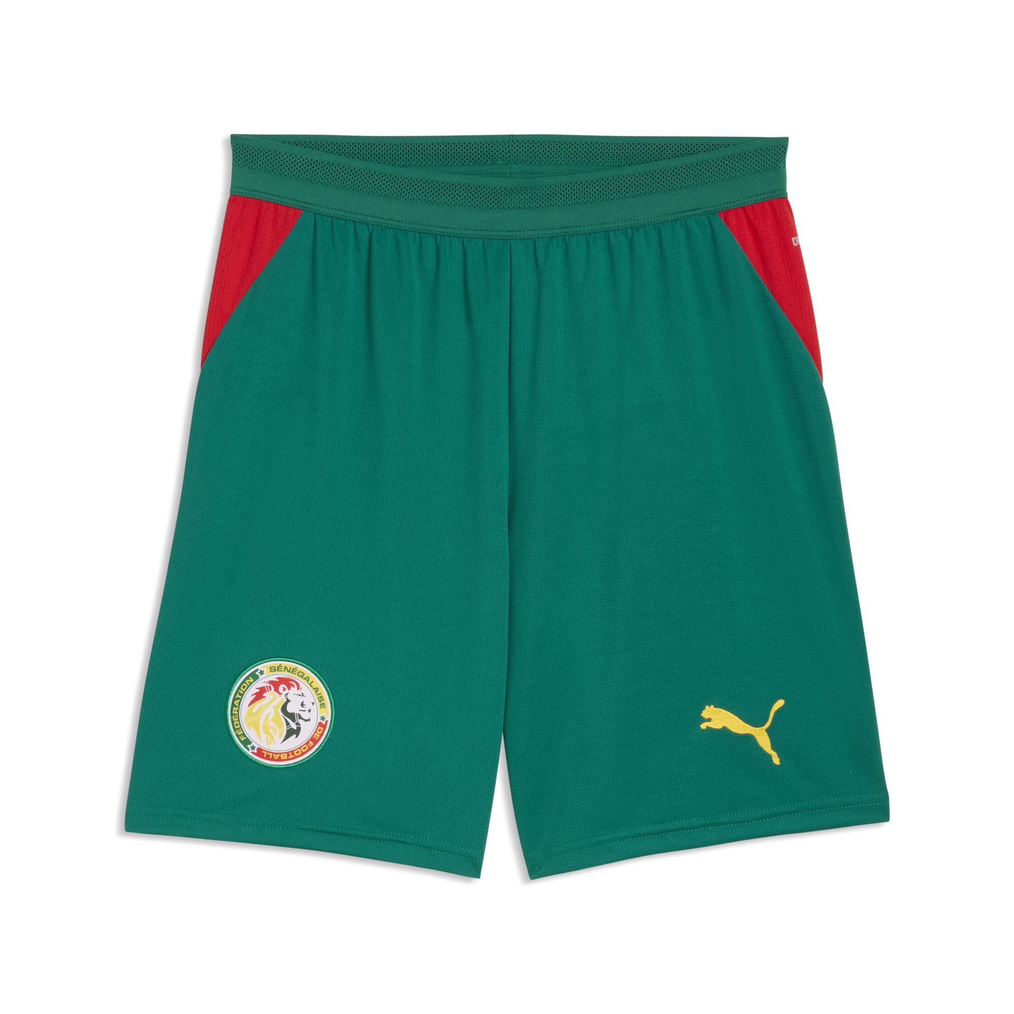 PUMA Senegal Shorts Herren, Accessoires, Grün, L