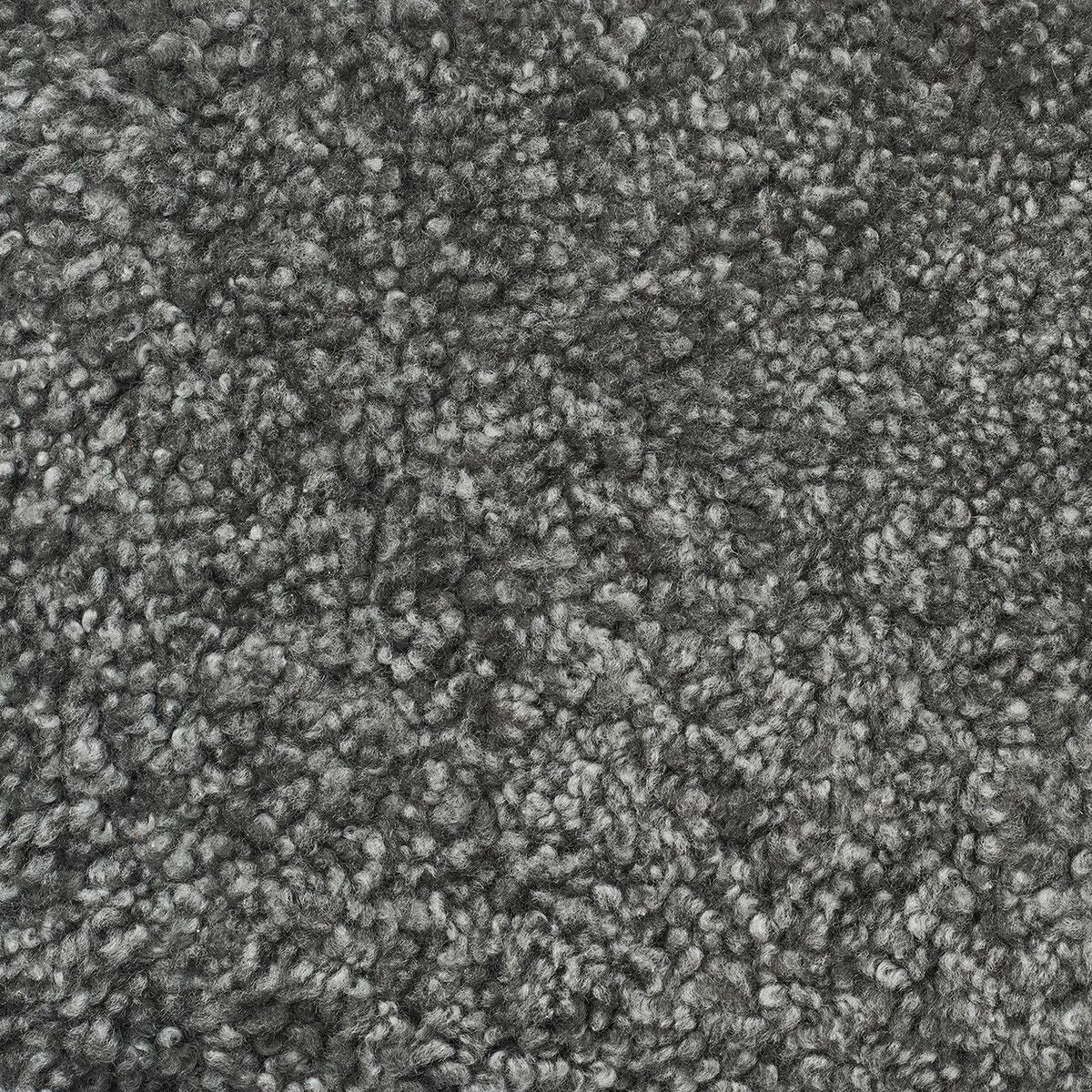 Emily Hocker | Kurzhaar