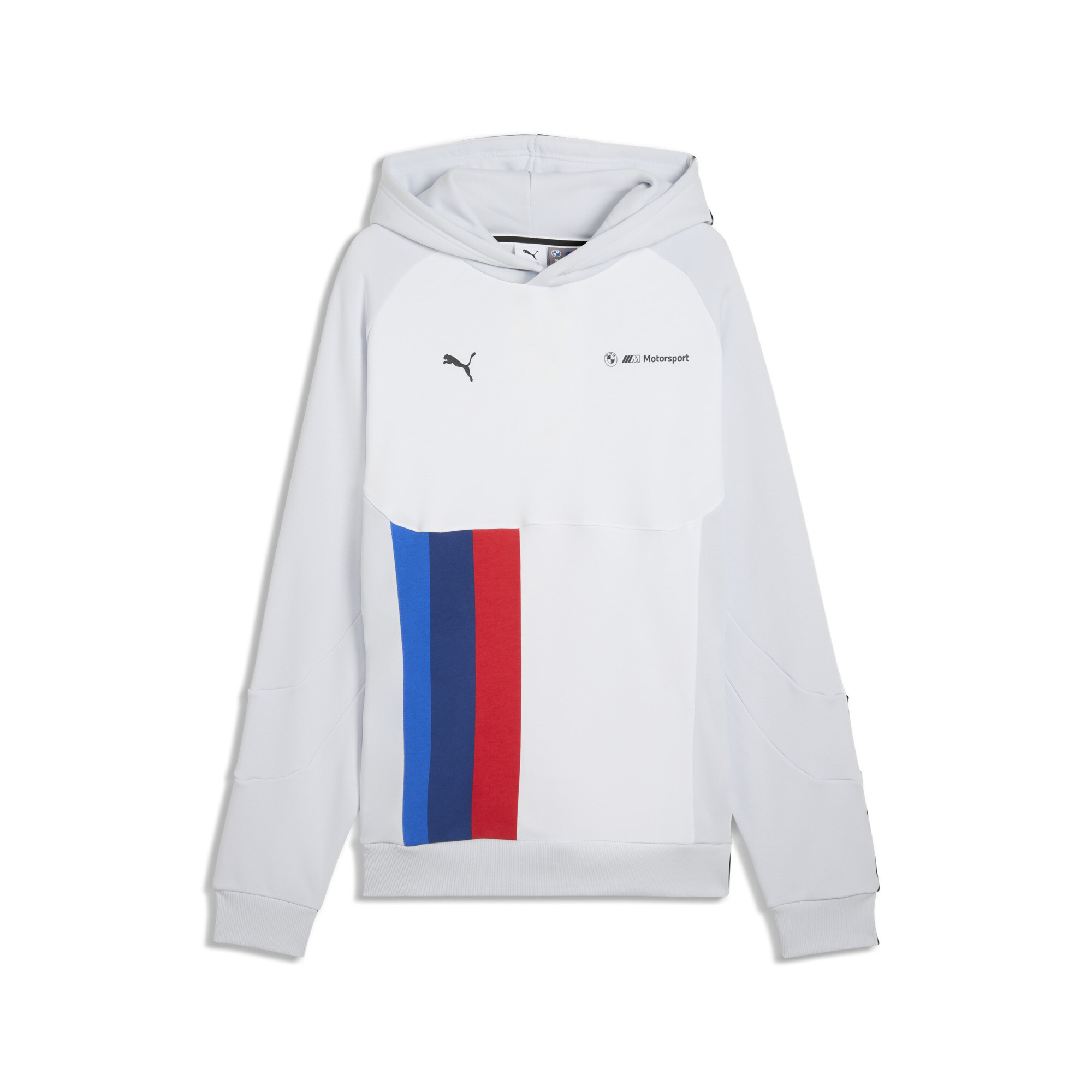 BMW M MOTORSPORT PUMATECH-X Hoodie Herren, Accessoires, Grau, S