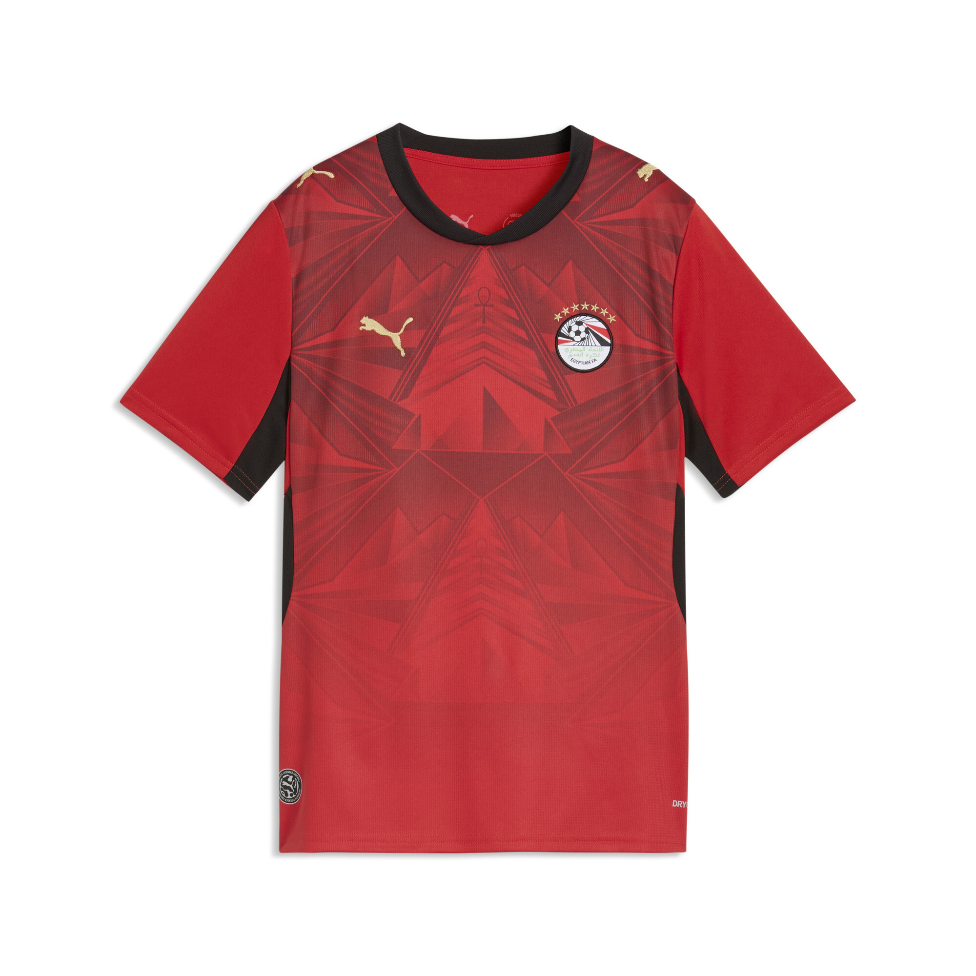 PUMA Ägypten Heimtrikot Teenager, Accessoires, Rot, 13-14Y