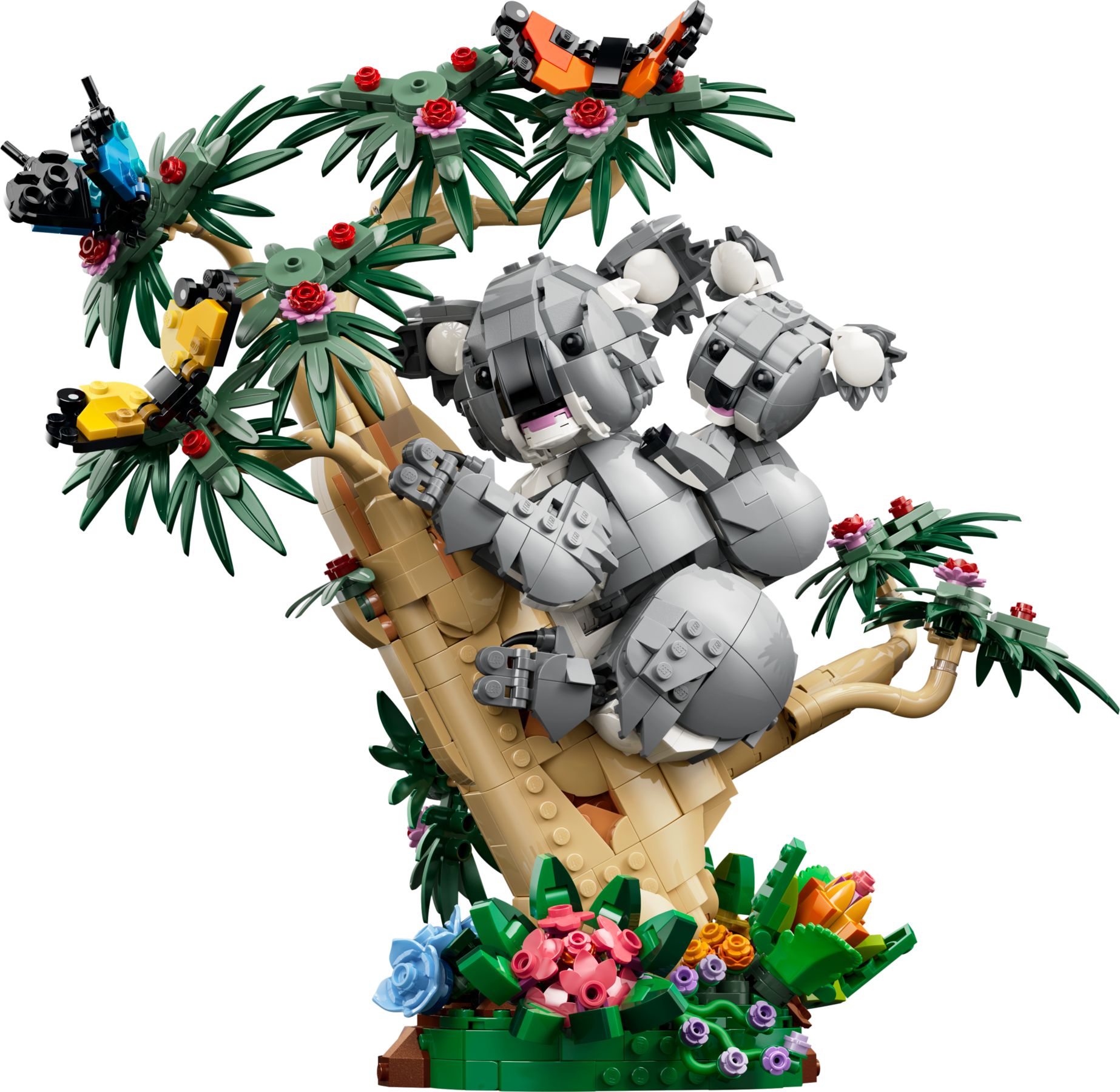 Wilde Tiere: Koala-Familie