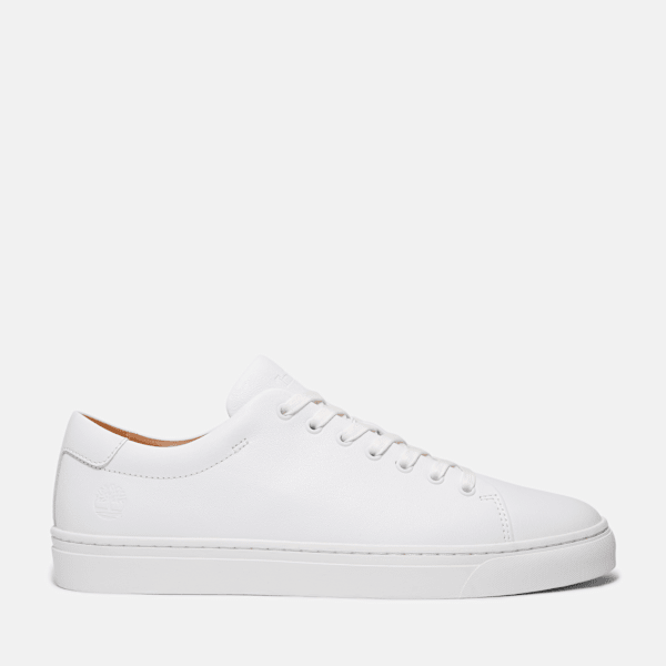 Timberland - Sneaker Dover Park da Uomo in bianco, Uomo, bianco, Taglia: 42