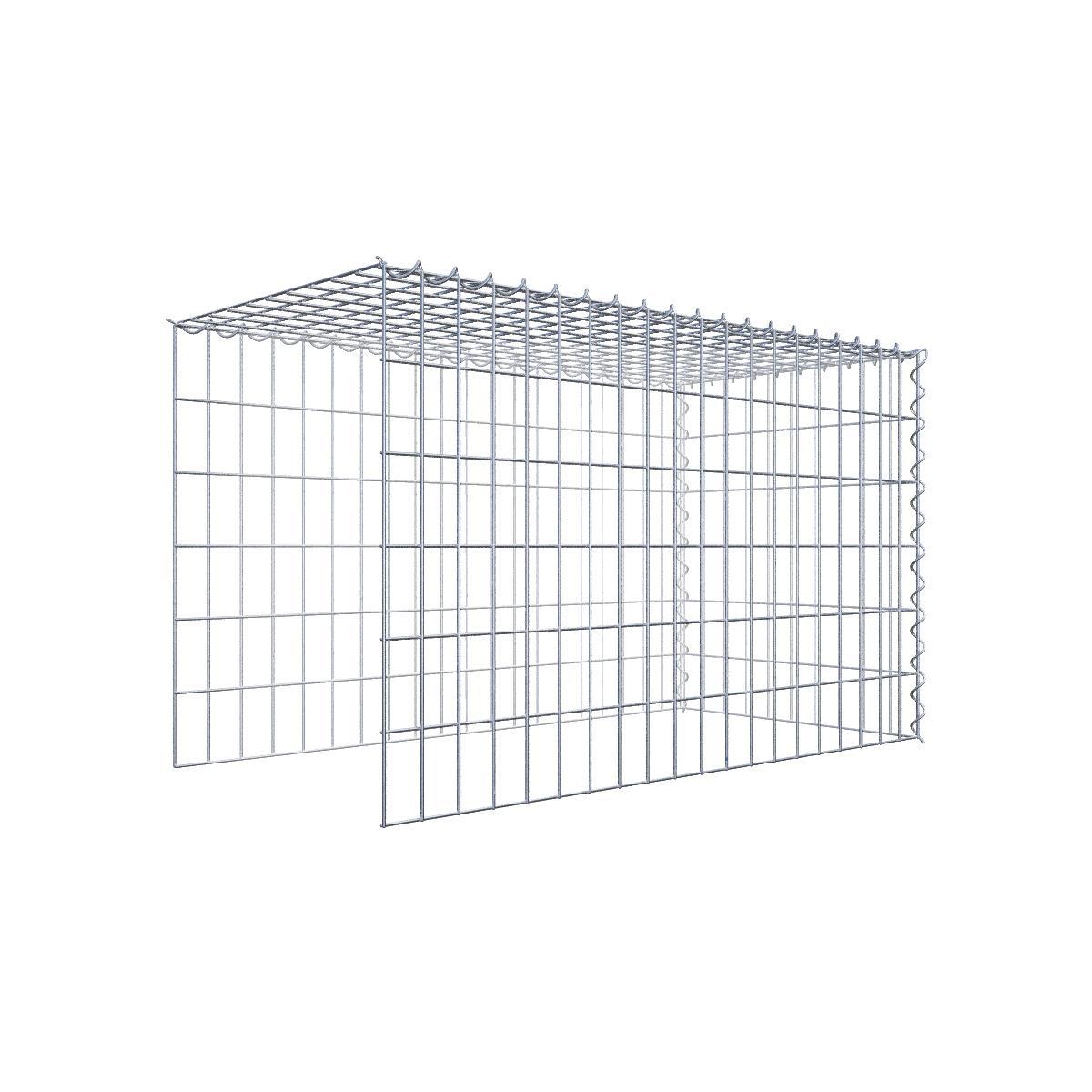 Extra gabion typ 4 100 cm x 60 cm x 50 cm (L x H x D), maskstorlek 5 cm x 10 cm, spiral