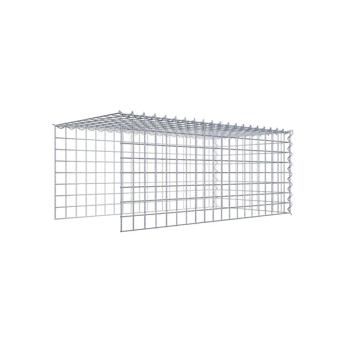 Extra gabion typ 4 100 cm x 40 cm x 50 cm (L x H x D), maskstorlek 5 cm x 5 cm, spiral