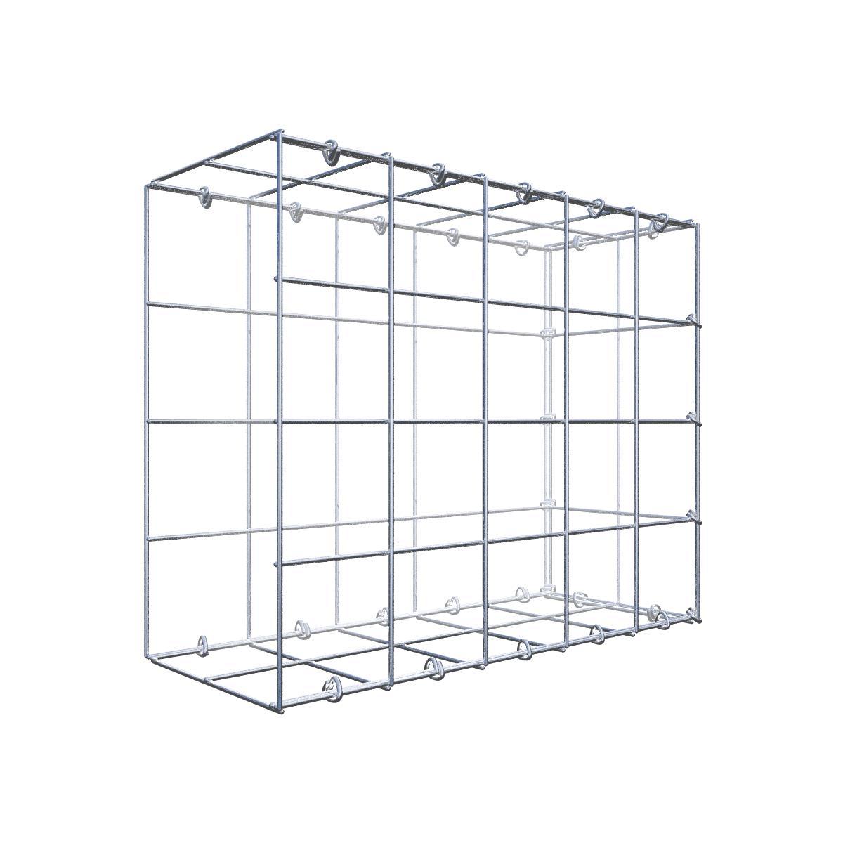 Extra gabion typ 4 100 cm x 100 cm x 20 cm (L x H x D), maskstorlek 10 cm x 10 cm, spiral