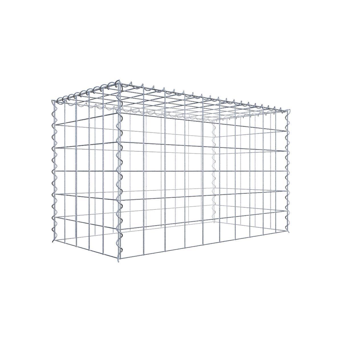 Extra gabion typ 3 100 cm x 60 cm x 50 cm (L x H x D), maskstorlek 10 cm x 10 cm, spiral