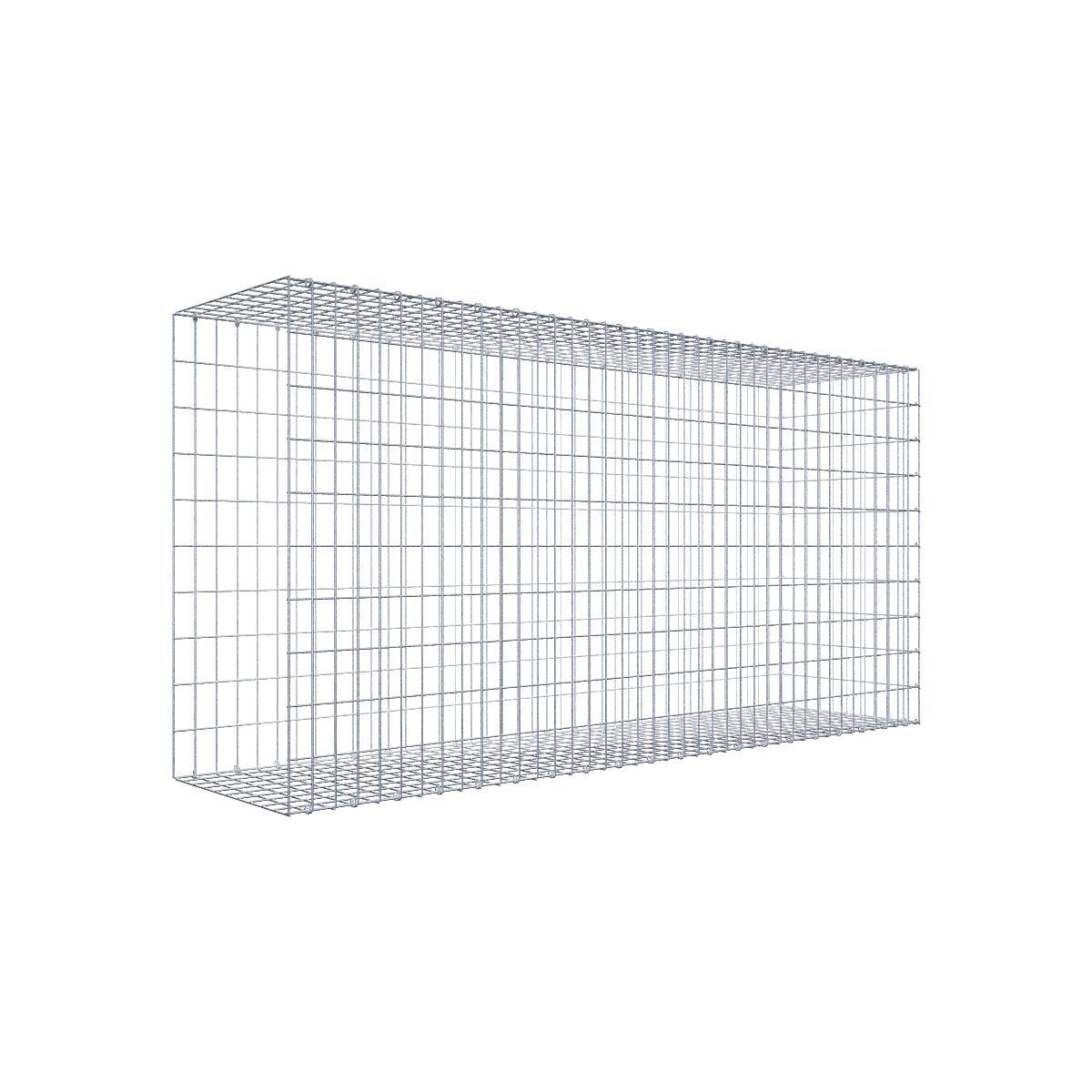 Extra gabion typ 2 200 cm x 100 cm x 50 cm, maskstorlek 5 cm x 10 cm, C-ring