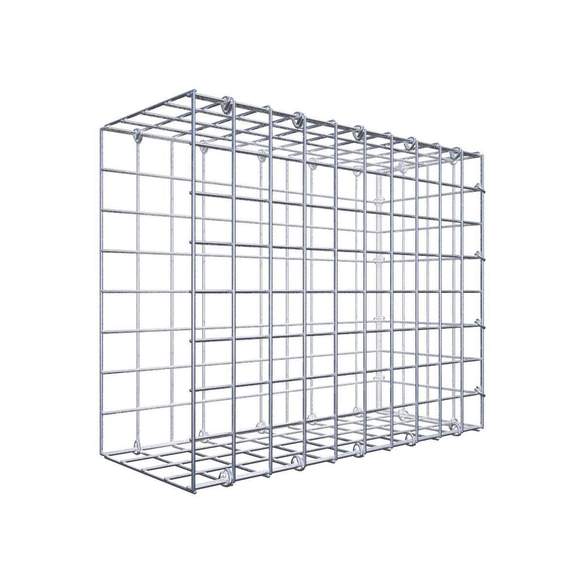 Extra gabion typ 4 100 cm x 100 cm x 20 cm (L x H x D), maskstorlek 5 cm x 5 cm, spiral