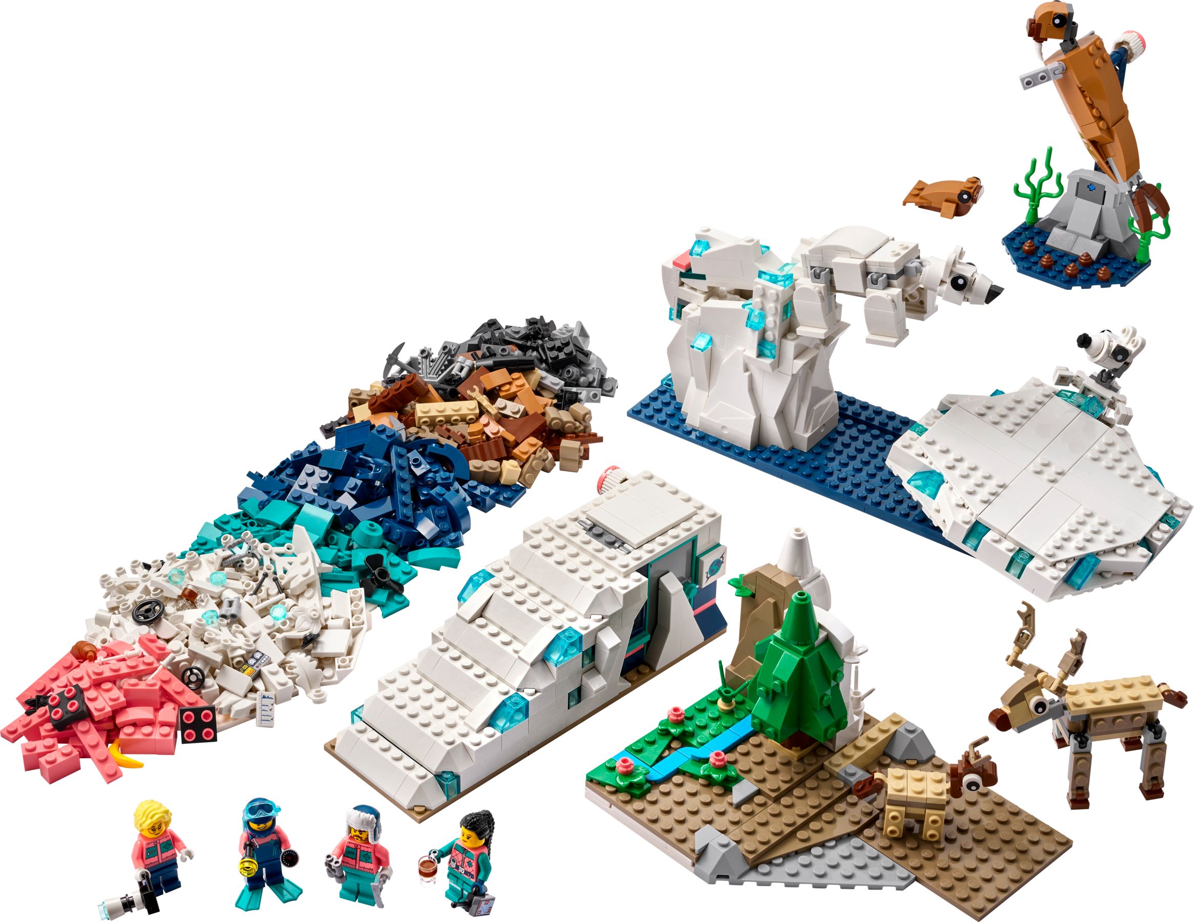 Arctic Animals Science Kit