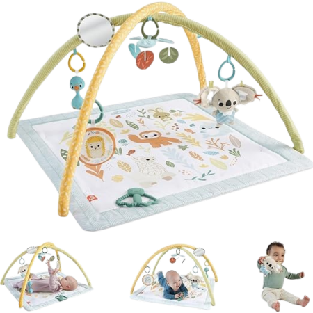 Fisher Price Simply Senses Newborn Gym
