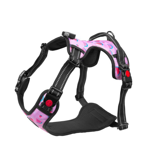 Harness LIGHT5 Doggo Led Harness, Pink, XL
