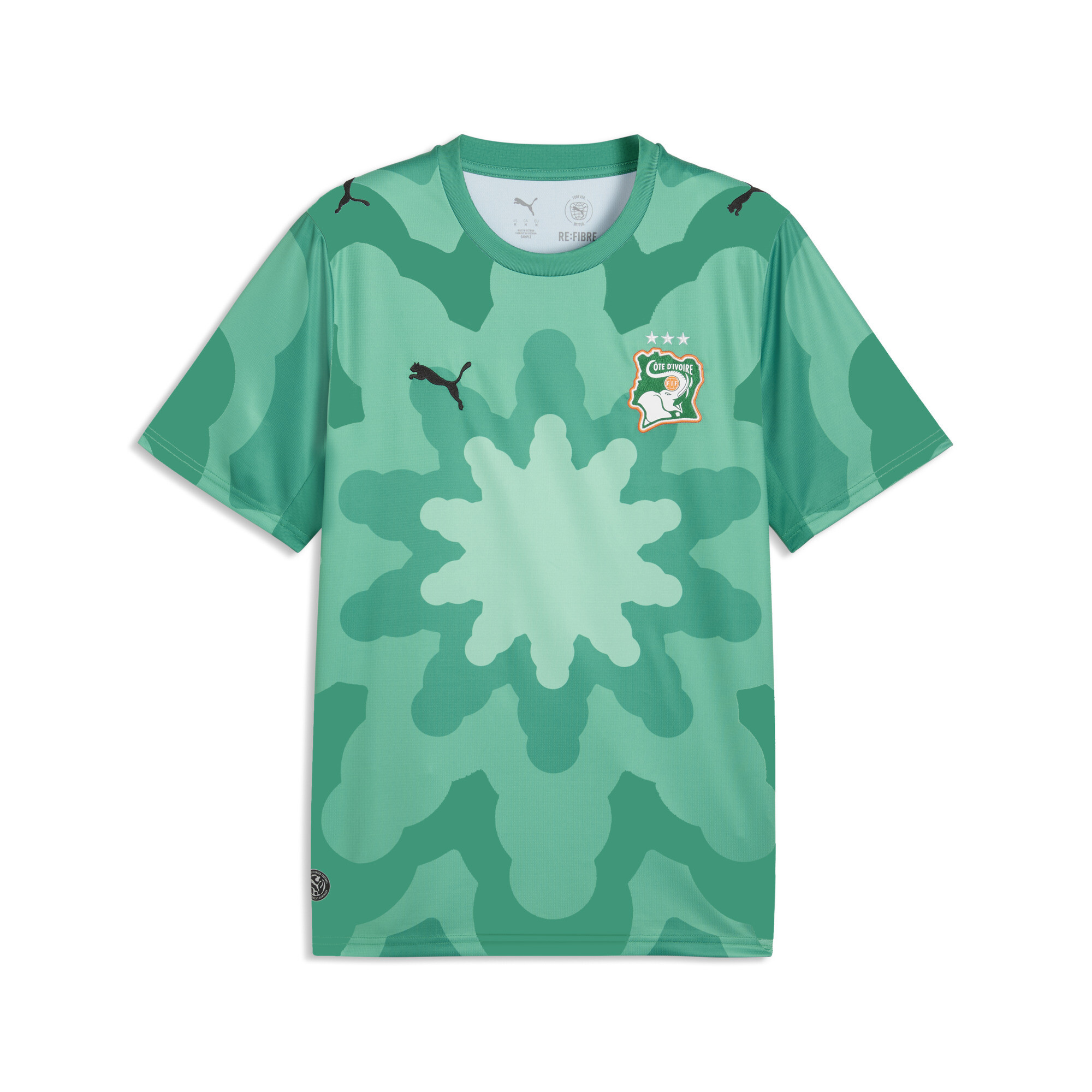PUMA x ELFENBEINKÜSTE x SALEHE BEMBURY Torwarttrikot Herren, Accessoires, Grün, 3XL