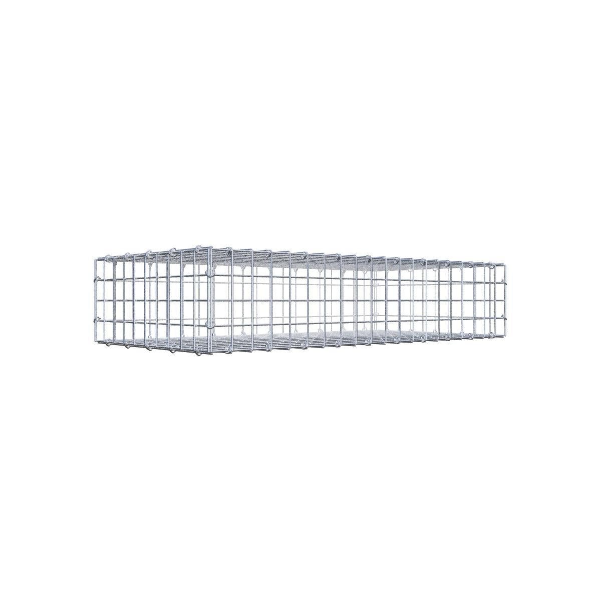 Gabion 100 cm x 20 cm x 50 cm (L x H x D), maskstorlek 5 cm x 5 cm, C-ring