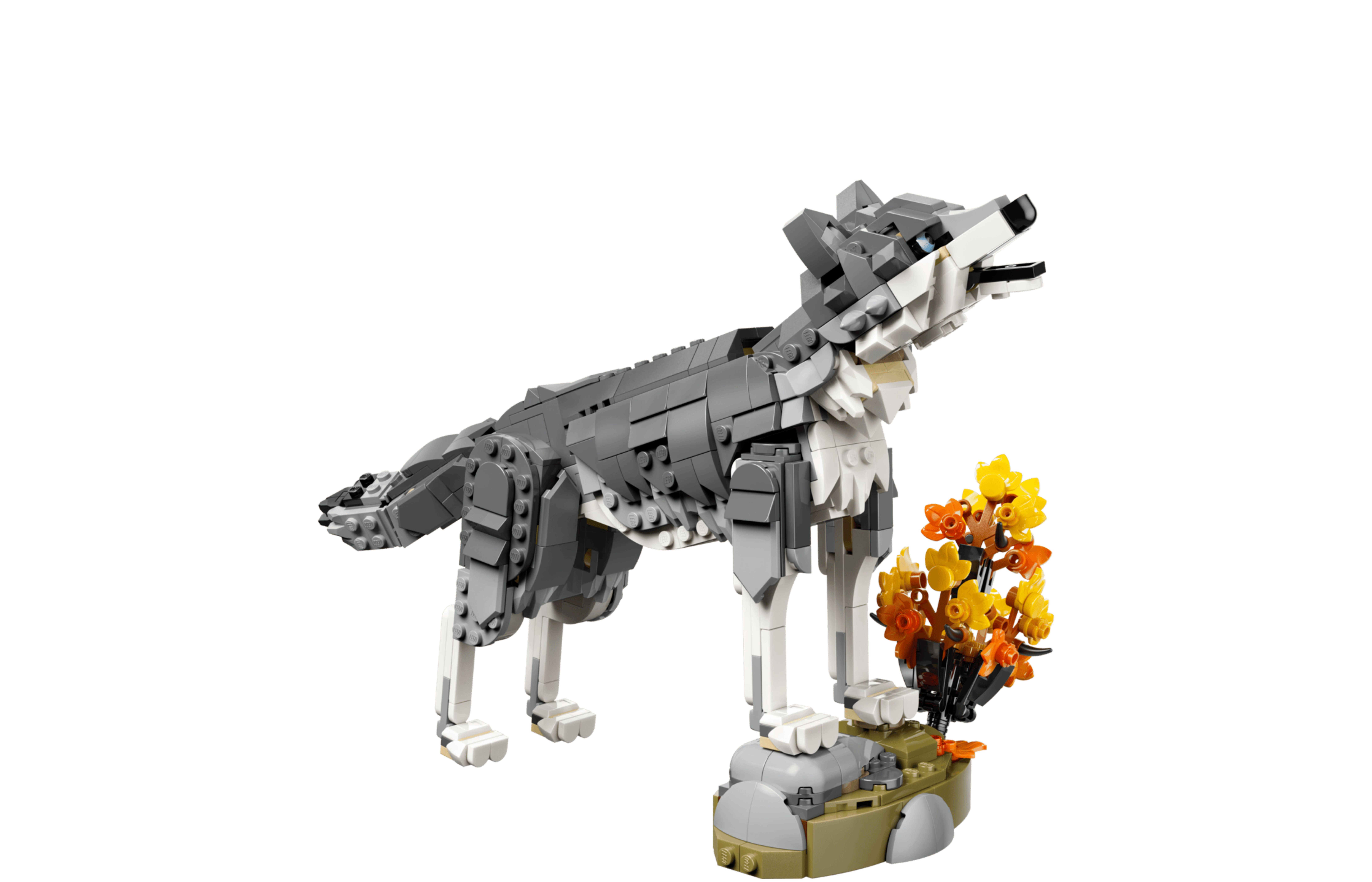 Forest Animals: Gray Wolf