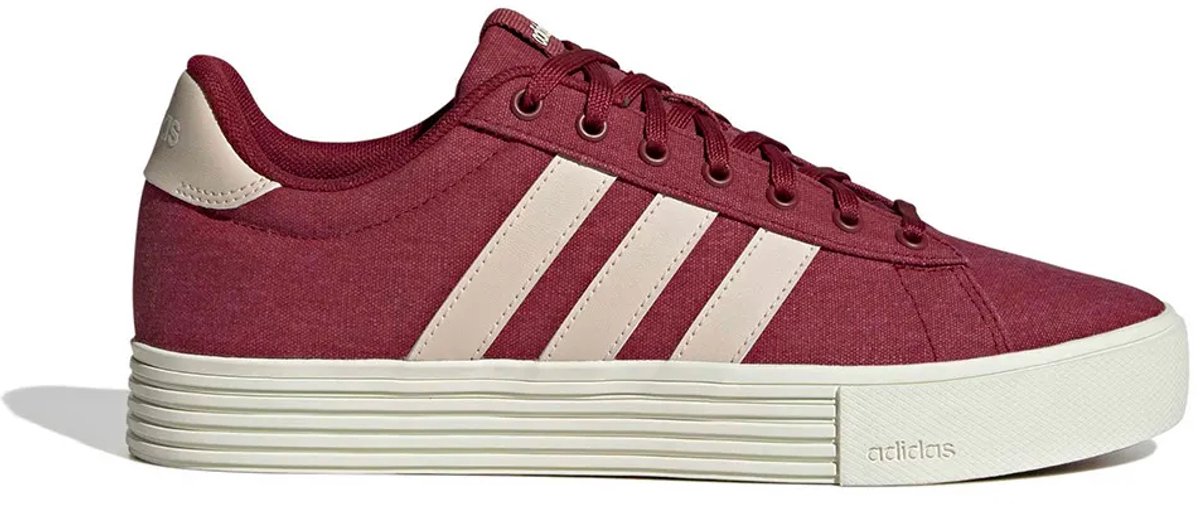 Baskets adidas Daily 4.0