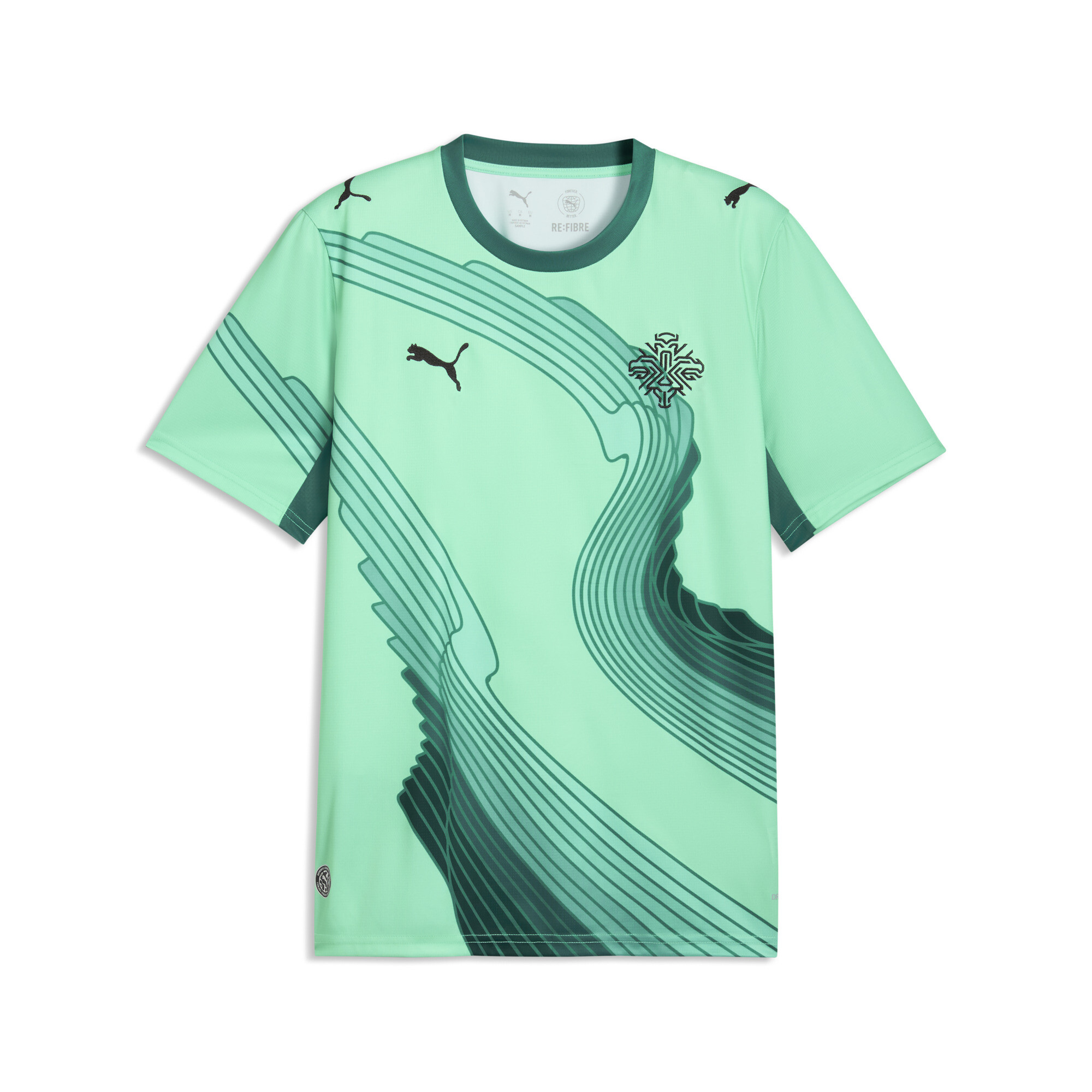 PUMA x ISLAND x SALEHE BEMBURY Torwarttrikot Herren, Accessoires, Grün, S