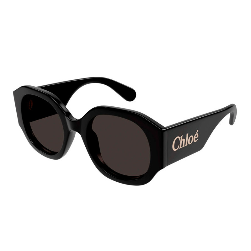 Chloe Sonnenbrillen für Frauen Sunglasses Ch0234S