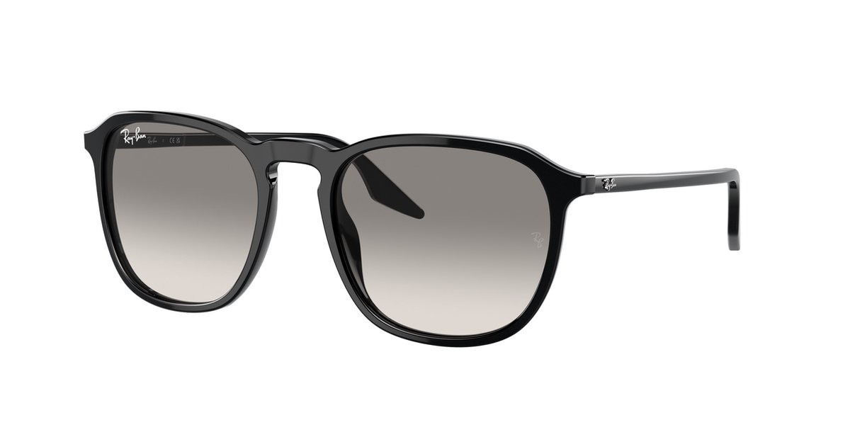 Ray-ban Sonnenbrillen für Männer Sonnenbrille 0Rb2203