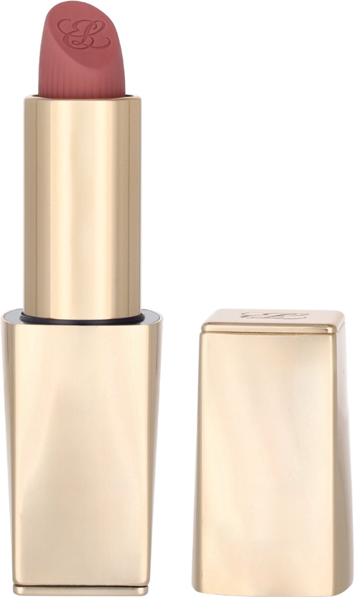 Estee Lauder Lippenstift Pure Color Matte Lipstick 816 SUIT UP